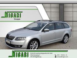Silber Gebraucht 2016 Skoda Octavia Joy Kombi | 11.990 € (Etwas zu teuer)
