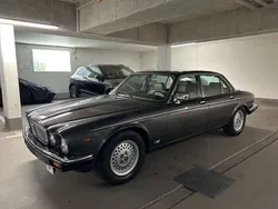 Grau Gebraucht 1986 Jaguar XJ12 Limousine | 19.850 €