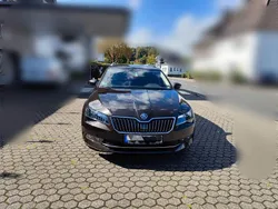 Braun Gebraucht 2016 Skoda Superb Ambition Kombi | 12.200 € (Fairer Preis)