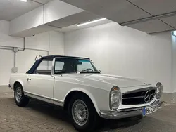 Weiß Gebraucht 1964 Mercedes 230 Cabrio | 79.900 €