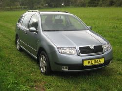 Grau metallic Gebraucht 2002 Skoda Fabia Comfort Kleinwagen | 4.290 € (Teuer)