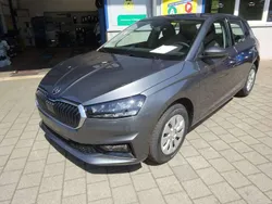 Graphitegrau metallic Neu 2024 Skoda Fabia Selection Kleinwagen | 19.300 € (Fairer Preis)