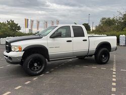 Weiß Gebraucht 2003 Dodge Ram Abholung | 15.700 €