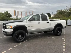 Weiß Gebraucht 2003 Dodge Ram Abholung | 16.499 €