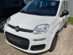 Weiß Gebraucht 2015 Fiat Panda Easy Kleinwagen | 6.450 € (Fairer Preis)