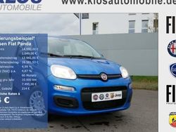 Weiß Neu 2025 Fiat Panda Pop Kleinwagen | 14.990 € (Fairer Preis)