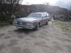 Blau Gebraucht 1988 Oldsmobile Custom Cruiser Kombi | 13.000 €