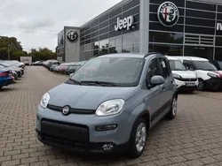 Grau Gebraucht 2023 Fiat Panda Kleinwagen | 16.490 € (Teuer)