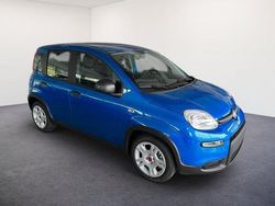 Italia blau italia blau Gebraucht 2024 Fiat Panda S Kleinwagen | 17.290 € (Teuer)