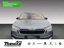 Graphitegrau metallic Gebraucht 2024 Skoda Octavia Selection Kombi | 34.880 € (Fairer Preis)