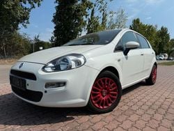 Weiß Gebraucht 2014 Fiat Punto Pop Kleinwagen | 3.499 € (Guter Preis)