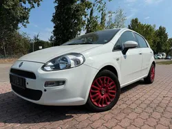 Weiß Gebraucht 2014 Fiat Punto Pop Kleinwagen | 3.799 € (Fairer Preis)