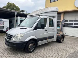 Silber Gebraucht 2009 Mercedes Sprinter Van | 10.990 € (Etwas zu teuer)