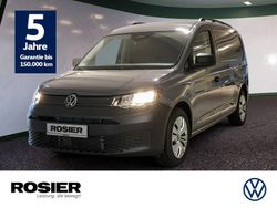 Grau / pure grey Neu 2025 VW Caddy Maxi Van / Kleinbus | 44.880 €
