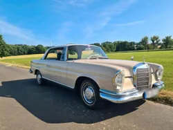 Beige Gebraucht 1963 Mercedes W111 Coupé | 40.000 €