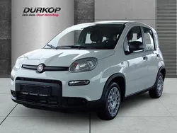 Colore esterno (weiss) Neu 2024 Fiat Panda Kleinwagen | 13.950 € (Guter Preis)