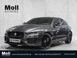 Grau Gebraucht 2024 Jaguar XE Limousine | 54.980 €
