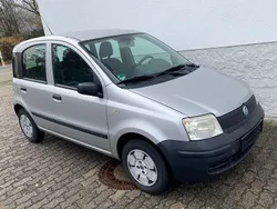 Silber Gebraucht 2007 Fiat Panda Kleinwagen | 2.400 € (Fairer Preis)