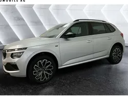 Silber Neu 2025 Skoda Kamiq Tour SUV | 29.990 € (Etwas zu teuer)