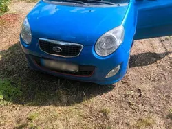 Blau Gebraucht 2011 Kia Picanto 2 Kleinwagen | 3.000 € (Etwas zu teuer)