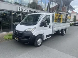 Weiß Gebraucht 2023 Opel Movano Van | 36.490 € (Teuer)