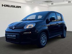 Schwarz Gebraucht 2024 Fiat Panda Kleinwagen | 14.600 € (Etwas zu teuer)
