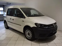 Weiß Gebraucht 2019 VW Caddy Van / Kleinbus | 18.499 € (Fairer Preis)