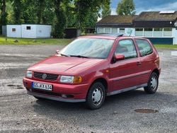 Rot Gebraucht 1997 VW Polo Basis Limousine | 650 € (Superpreis)
