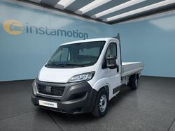 Weiß Gebraucht 2023 Fiat Ducato Van | 35.649 € (Fairer Preis)