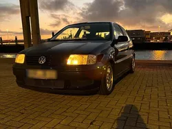 Blau Gebraucht 2001 VW Polo Kleinwagen | 1.100 € (Fairer Preis)