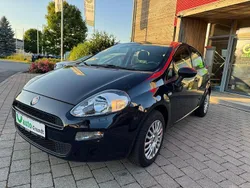 Other Gebraucht 2017 Fiat Punto Kleinwagen | 7.900 € (Etwas zu teuer)