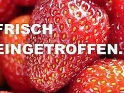 Weiß Gebraucht 2019 Lexus UX 250h Executive Line SUV | 24.999 € (Etwas zu teuer)