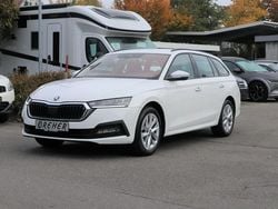 Candyweiss Gebraucht 2024 Skoda Octavia Ambition Kombi | 24.390 € (Guter Preis)