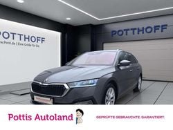 Grau Gebraucht 2023 Skoda Octavia Style Kombi | 23.557 € (Guter Preis)