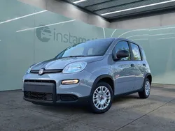 Grau Gebraucht 2023 Fiat Panda Kleinwagen | 14.499 € (Etwas zu teuer)