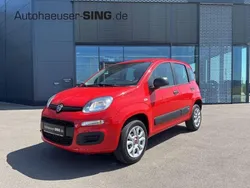 Rot Gebraucht 2017 Fiat Panda Kleinwagen | 8.790 € (Etwas zu teuer)