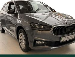 Grau Neu 2025 Skoda Fabia Selection Kleinwagen | 19.210 € (Fairer Preis)