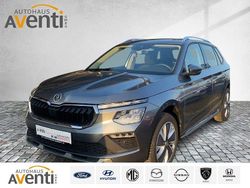 Grau Gebraucht 2024 Skoda Kamiq Selection SUV | 21.989 € (Guter Preis)