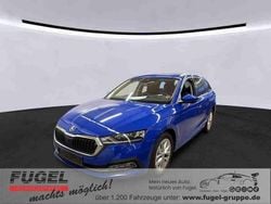 Blau Gebraucht 2022 Skoda Octavia | 19.999 € (Superpreis)