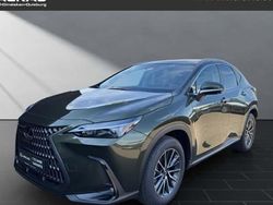 Grün Neu 2025 Lexus NX350h SUV | 52.950 € (Fairer Preis)