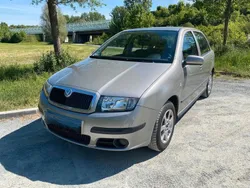 Grau Gebraucht 2007 Skoda Fabia Cool Edition Limousine | 2.900 € (Guter Preis)