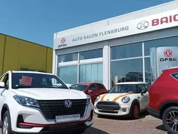 Weiß Neu 2024 DFSK Fengon SUV | 21.989 € (Etwas zu teuer)