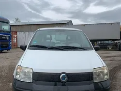 Weiß Gebraucht 2005 Fiat Panda Kleinwagen | 1.990 € (Fairer Preis)