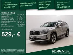 Grau Gebraucht 2024 Skoda Kodiaq Selection SUV | 43.589 € (Guter Preis)