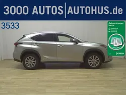 Grau Gebraucht 2024 Lexus LBX SUV | 32.960 € (Superpreis)