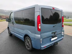 Blau Gebraucht 2008 Opel Vivaro Van | 7.999 € (Etwas zu teuer)