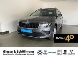 Grau Neu 2025 Skoda Kamiq Selection SUV | 26.950 € (Fairer Preis)