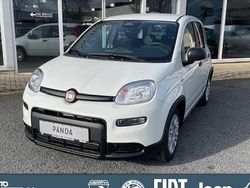 Weiß Gebraucht 2024 Fiat Panda Cross Cross Kleinwagen | 14.990 € (Fairer Preis)