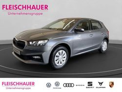 Grau Neu 2025 Skoda Fabia Selection Kleinwagen | 22.490 € (Fairer Preis)