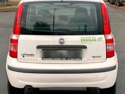 Weiß Gebraucht 2010 Fiat Panda Kleinwagen | 3.200 €